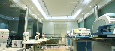 臺(tái)州市路橋同創(chuàng)服裝機(jī)械廠 專業(yè)鑄就品質(zhì)，創(chuàng)新引領(lǐng)未來(lái)